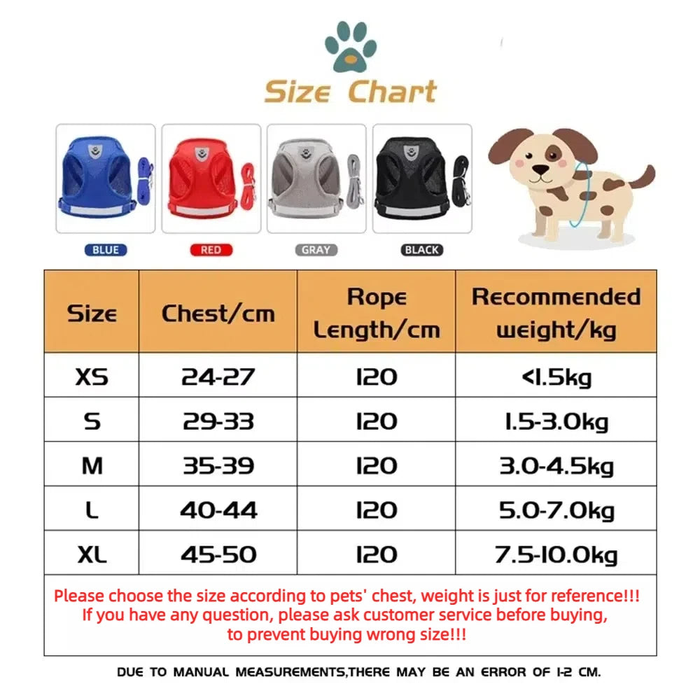 Cat Harness Lead Leash Set