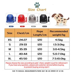 Cat Harness Lead Leash Set