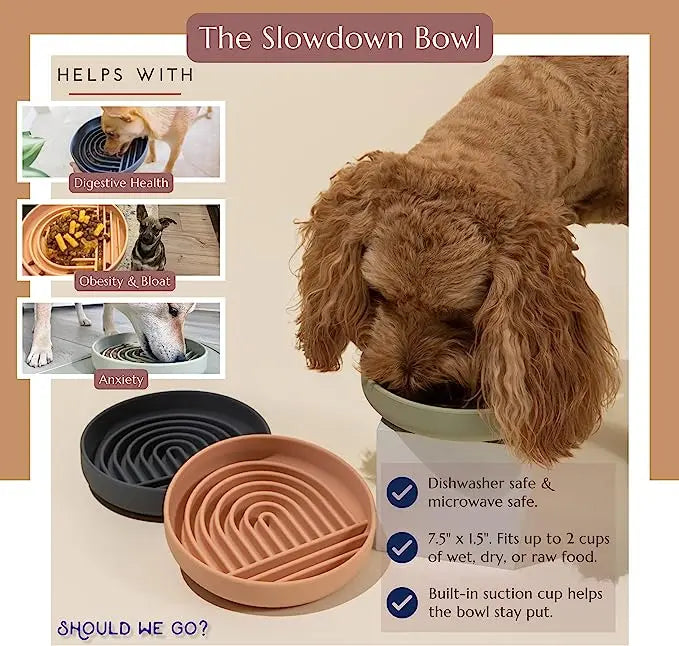 Anti-Slip Food Bowl