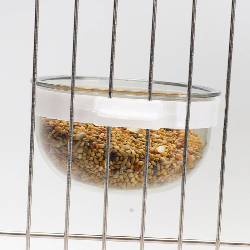 Bird Feeding Bowl