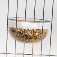 Bird Feeding Bowl