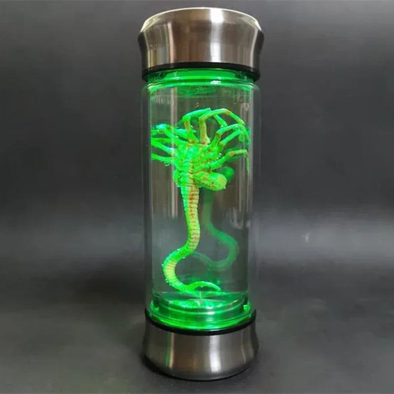 Embryo Glass Jar