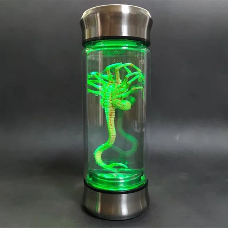 Embryo Glass Jar