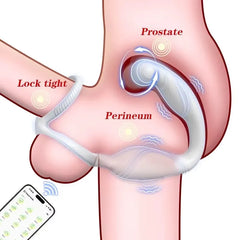 App butt plug Vibrator for Men
