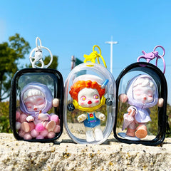 Transparent Storage Box