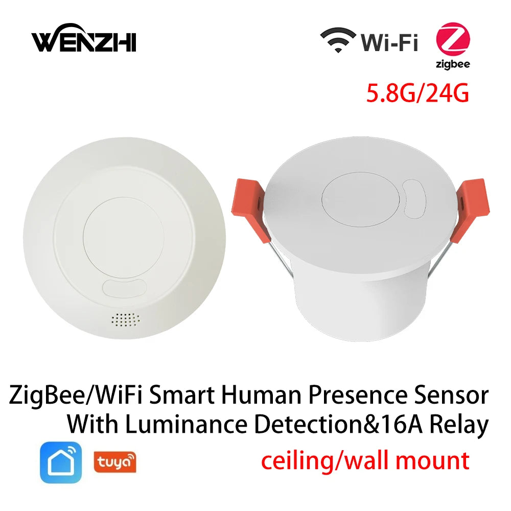 Motion Sensor Light Switch