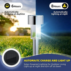Lantern Solar Powered Lamp