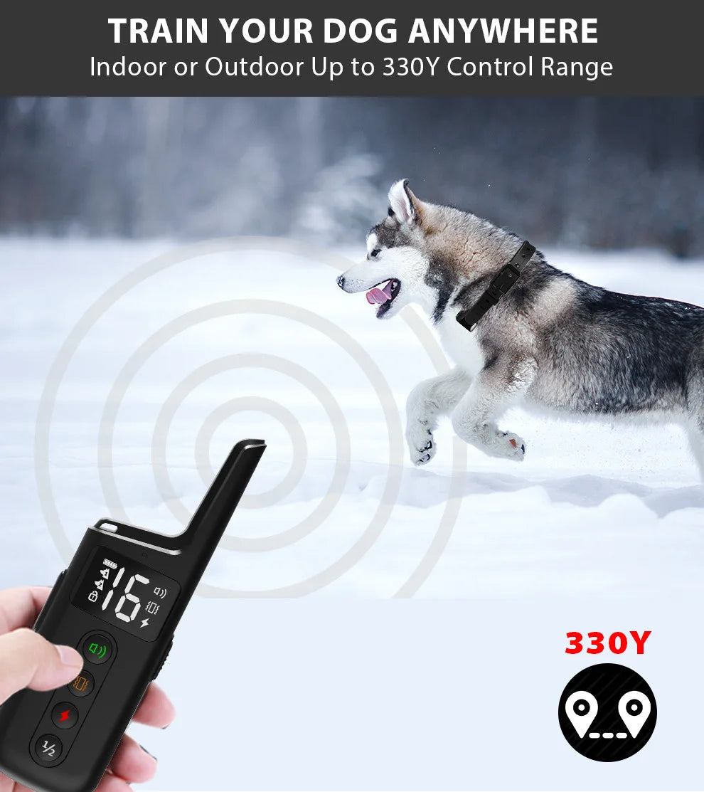 Dog Training Collar