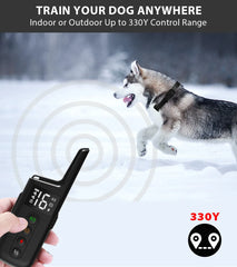 Dog Training Collar