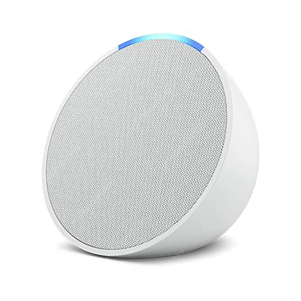 Wifi   BT Alexa Speaker