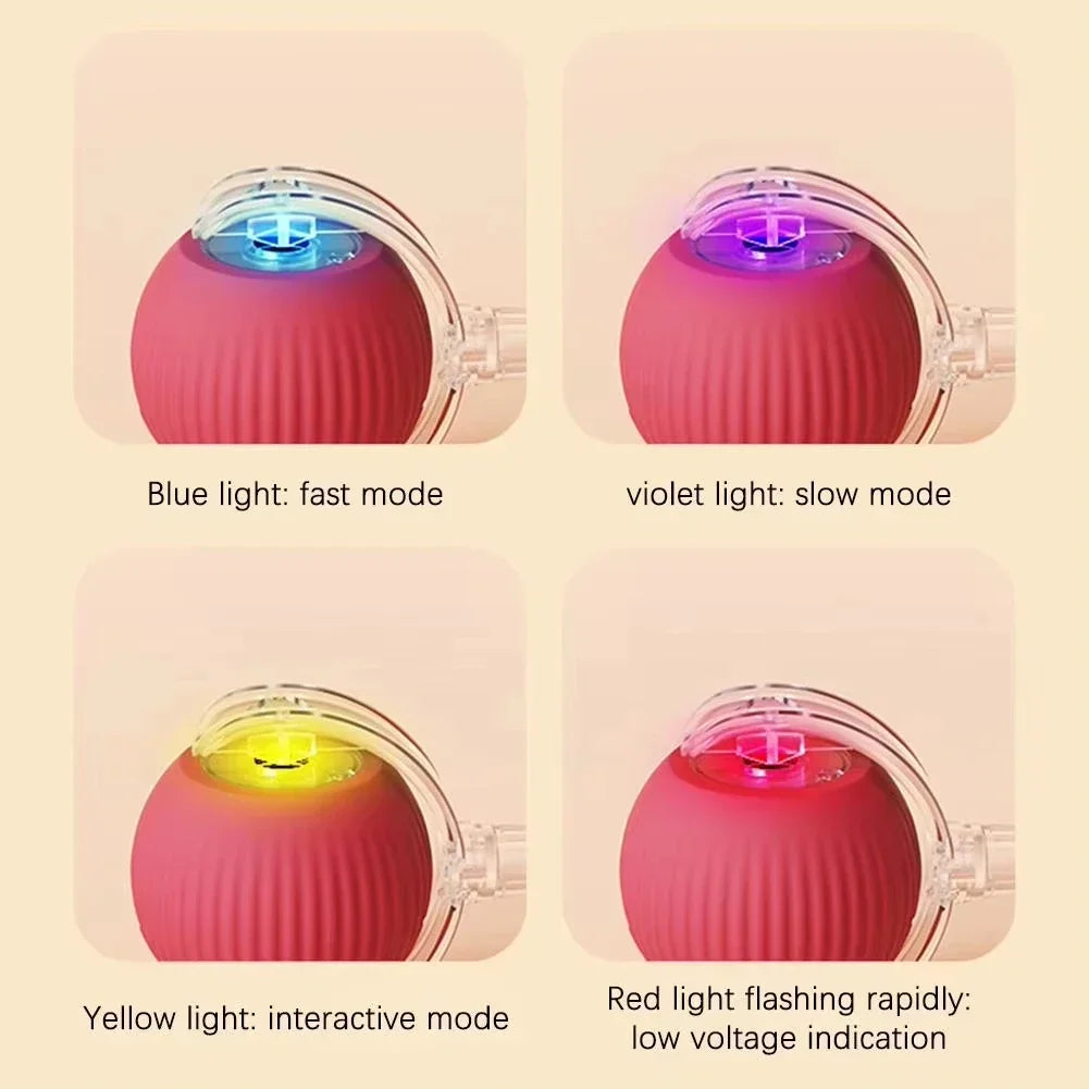 Interactive Cat Toys Ball