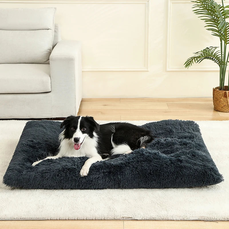 Soft Dog Beds