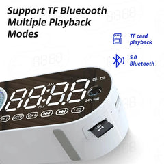 Portable Bluetooth Speaker