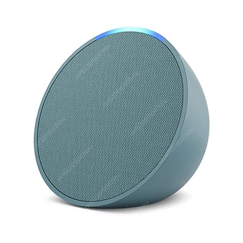 Wifi   BT Alexa Speaker