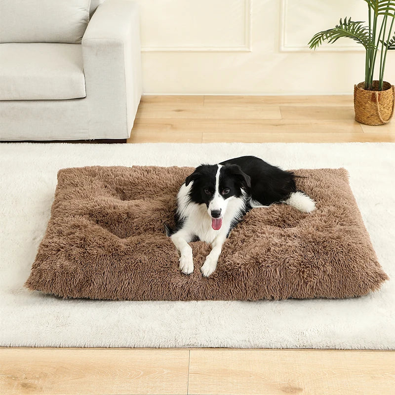 Soft Dog Beds