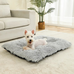 Soft Dog Beds