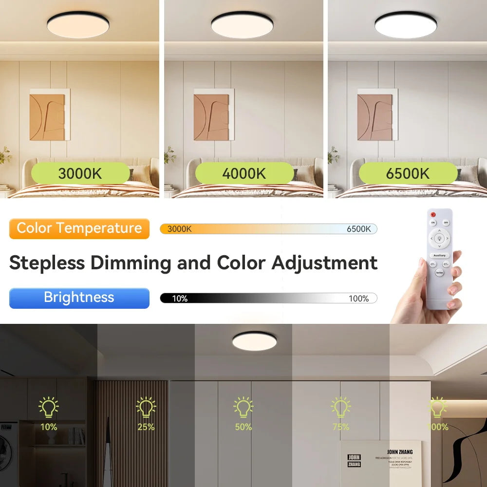 Modern Ceiling Lamps