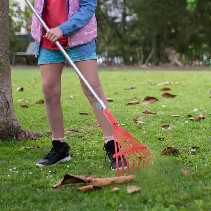 Carbon Steel Grass Rake