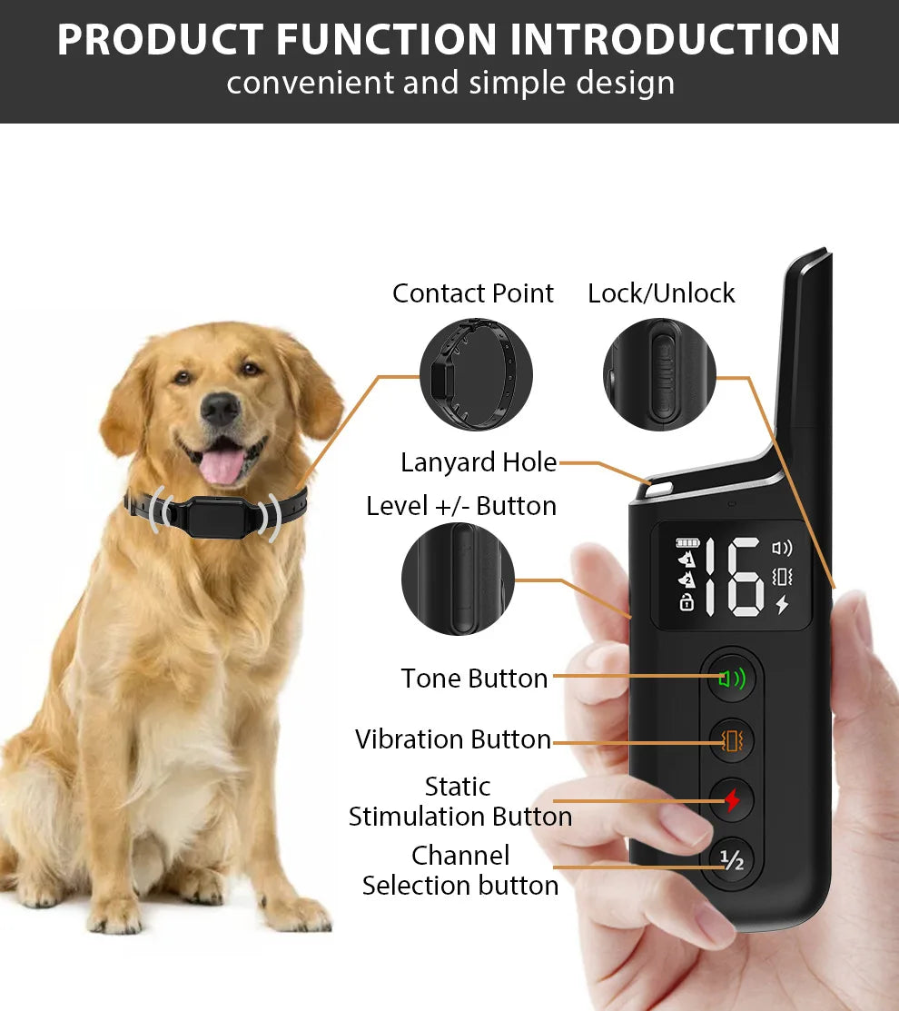 Dog Training Collar