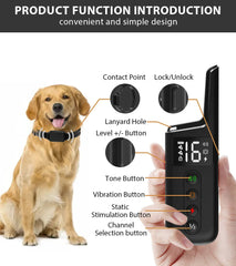 Dog Training Collar