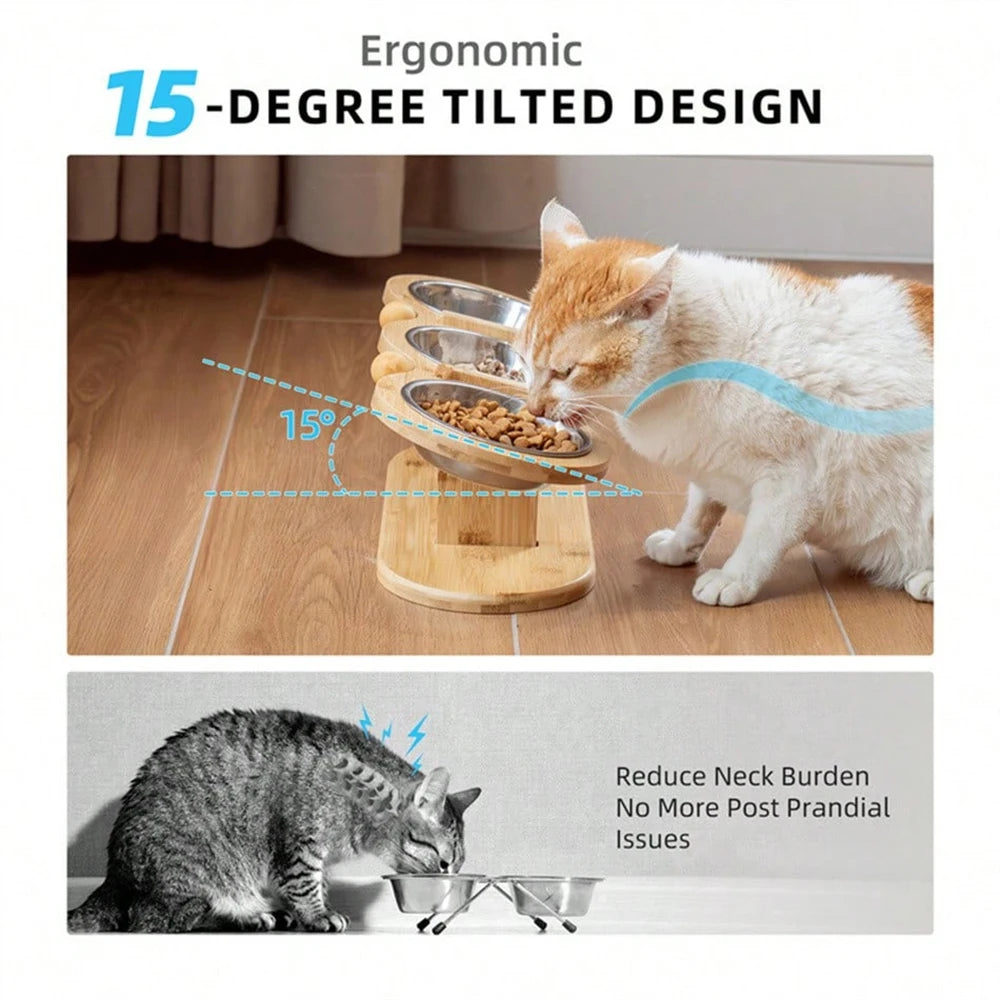 Cat 3 Bowls in 1 Feeder