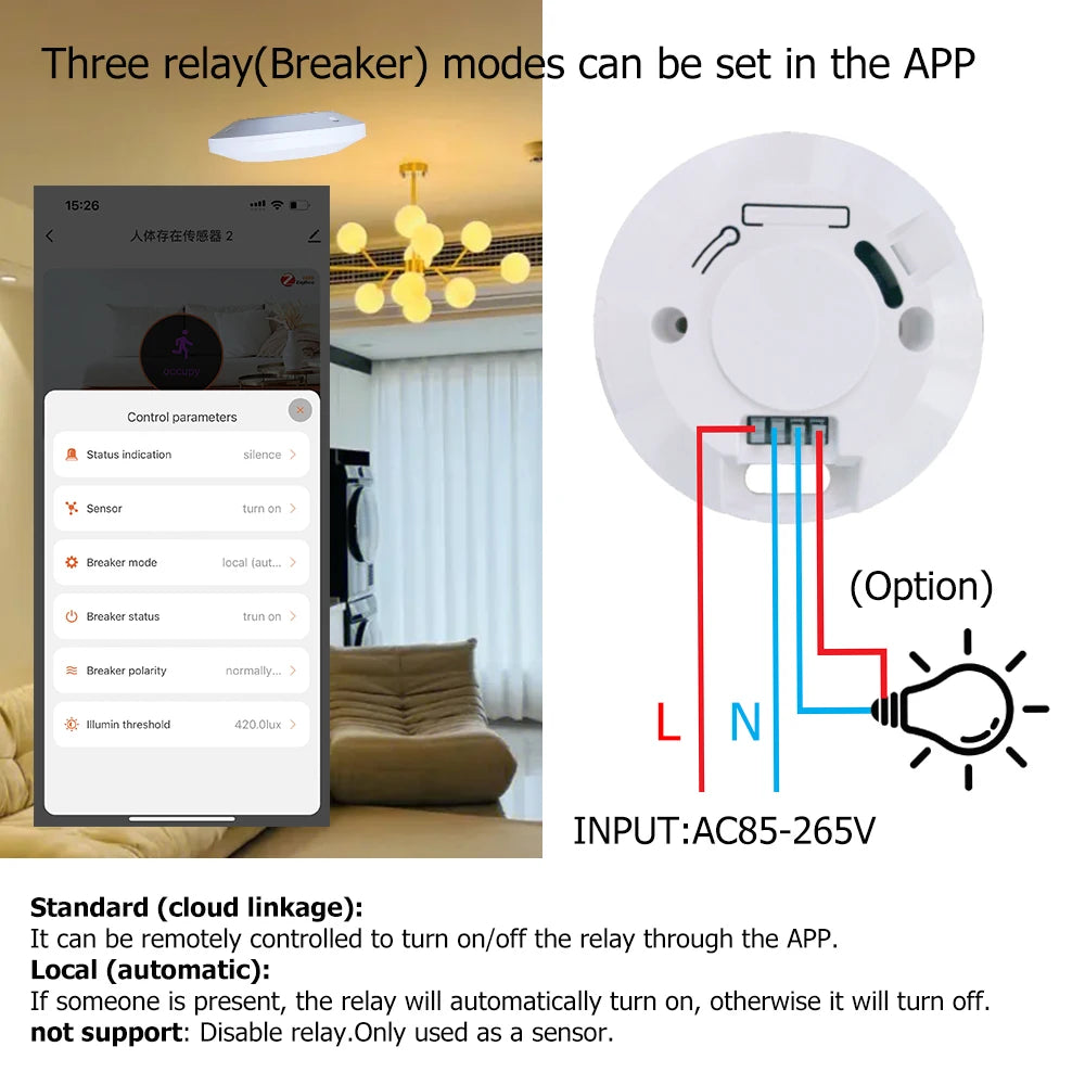 Motion Sensor Light Switch