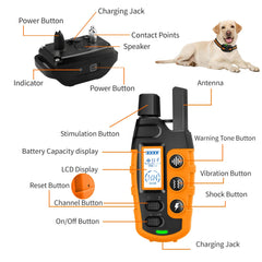 Pet Training Collar with Remote