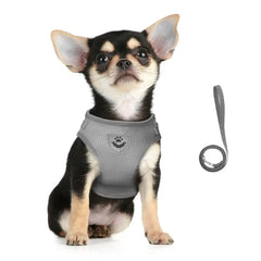 Cat Harness Lead Leash Set