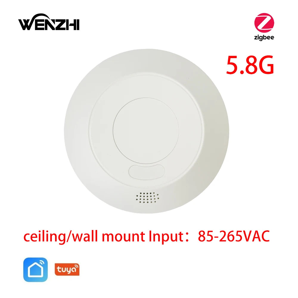 Motion Sensor Light Switch