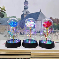 Eternal Rose Light Party Decor