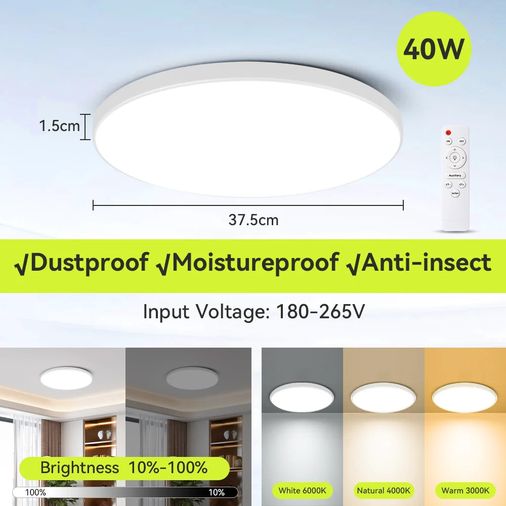 Modern Ceiling Lamps