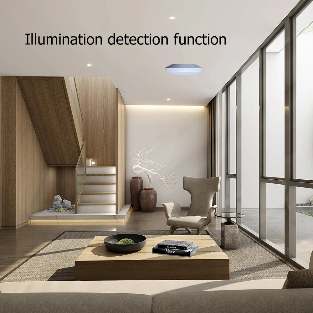 Motion Sensor Light Switch