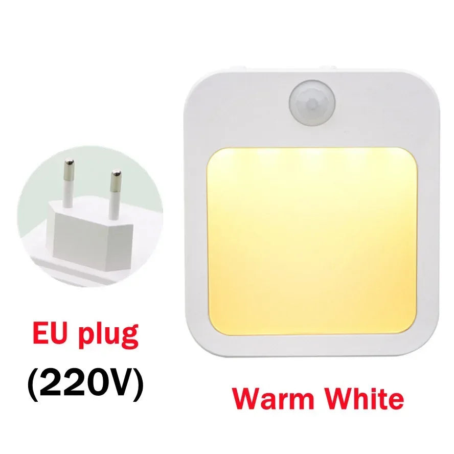 Motion Sensor LED Night