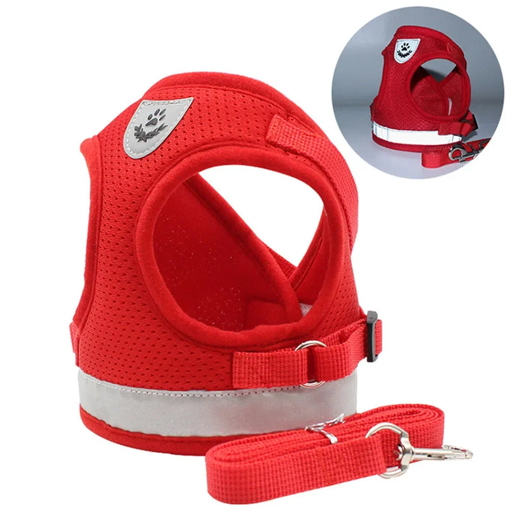 Cat Harness Lead Leash Set