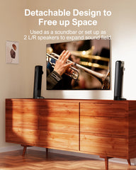Detachable Bluetooth 5.3 Soundbar for TV