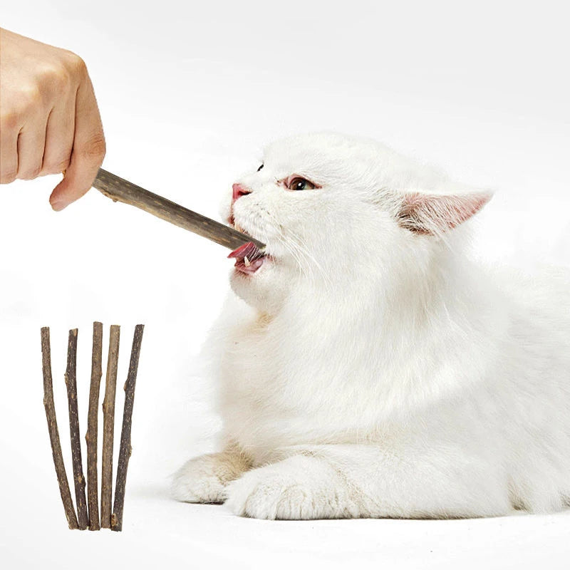 Silvervine Sticks for Cats