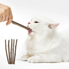 Silvervine Sticks for Cats