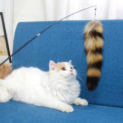 Funny Pet Cat Stick