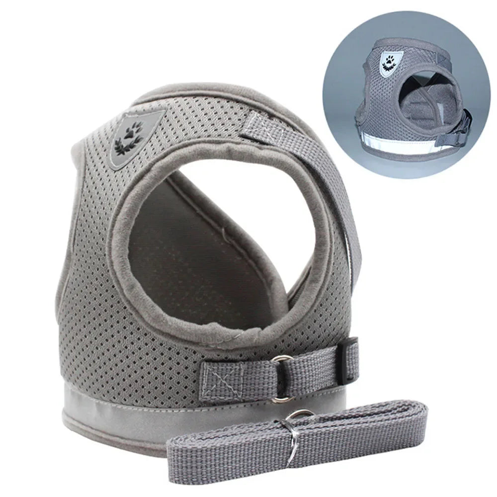 Cat Harness Lead Leash Set