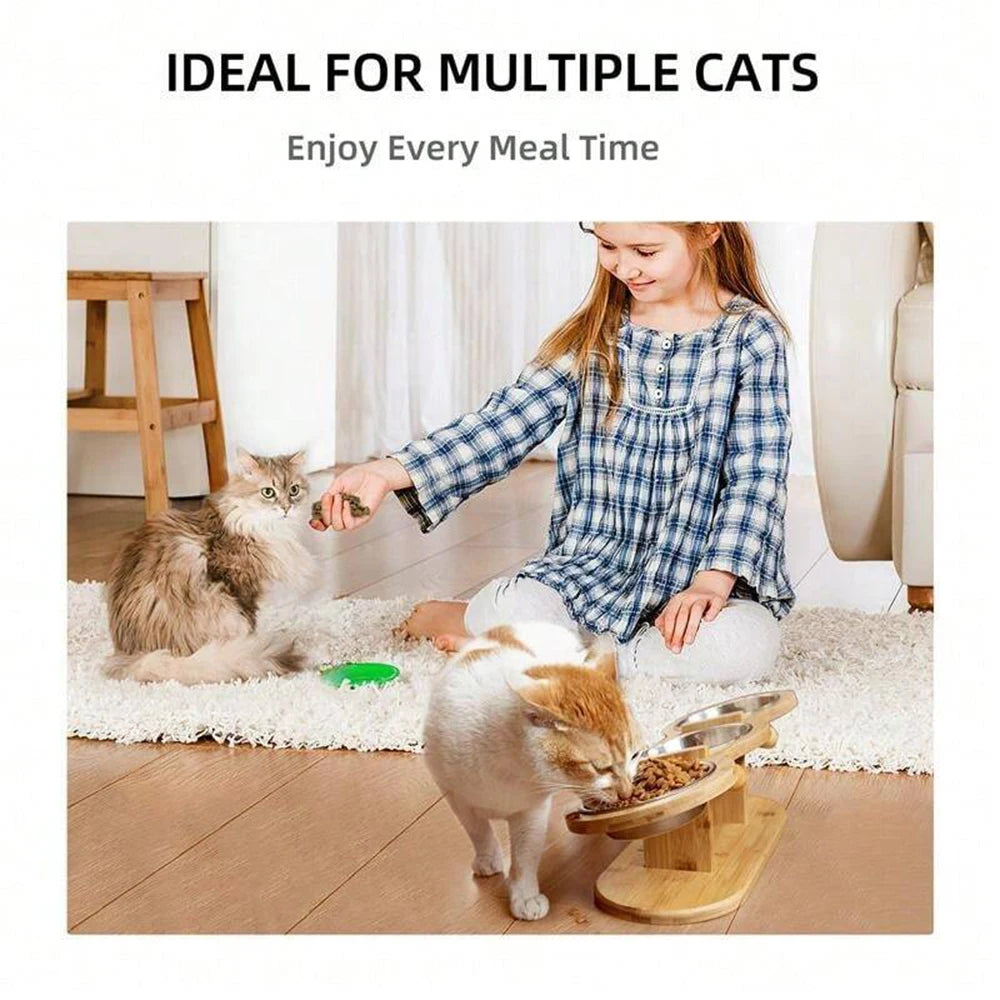 Cat 3 Bowls in 1 Feeder