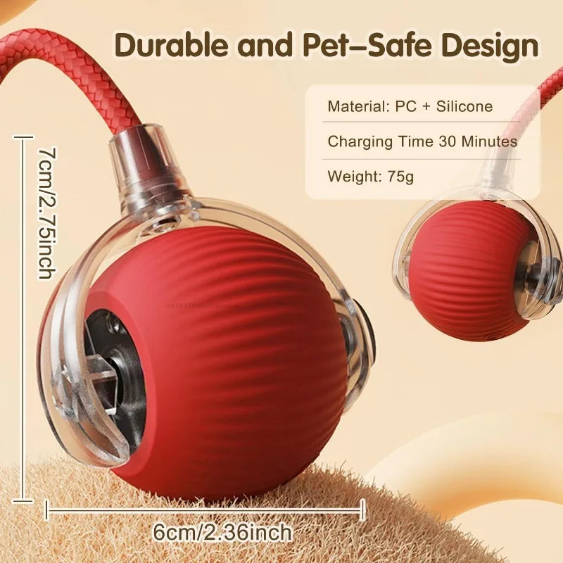 Cat Interactive Ball