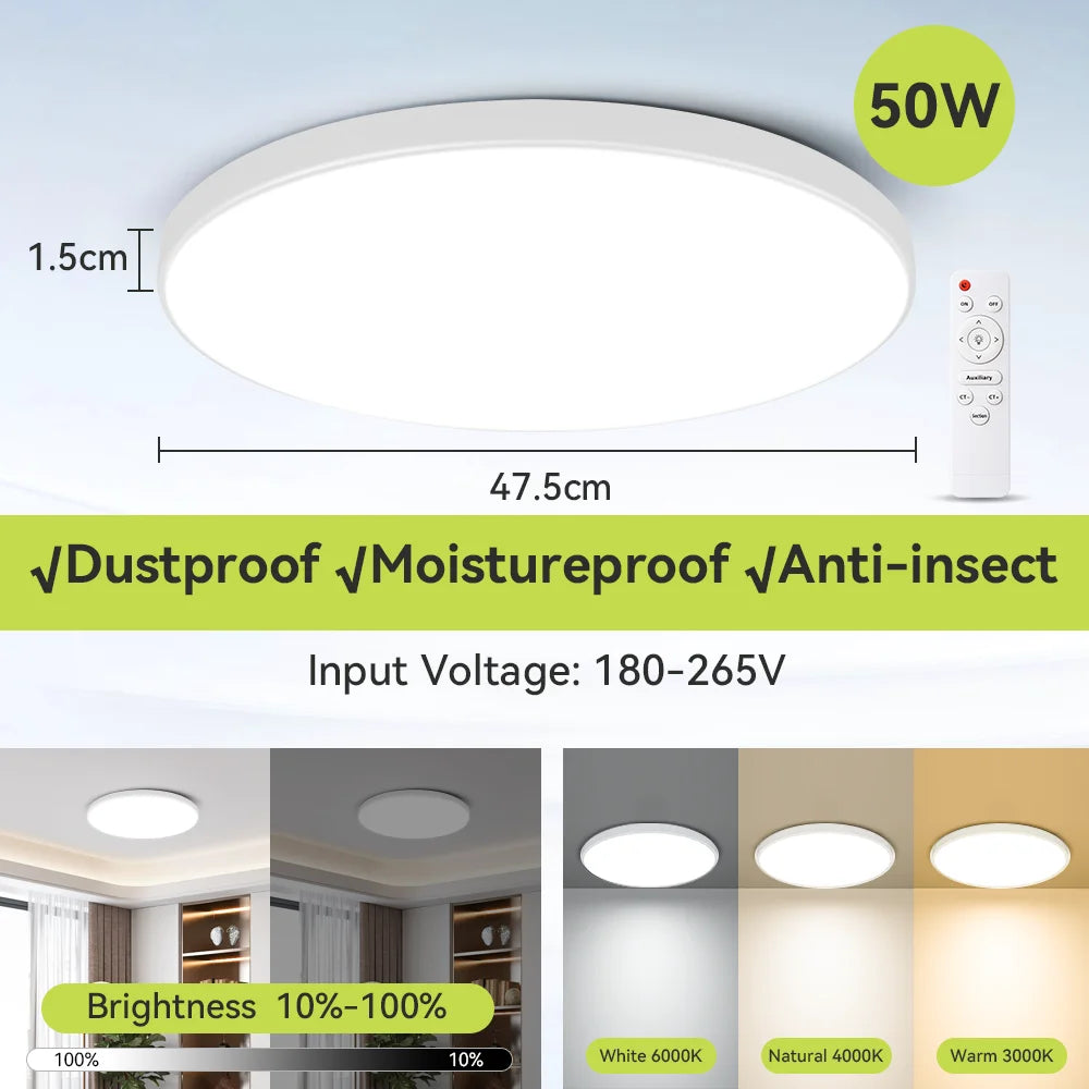Modern Ceiling Lamps