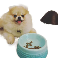 Ceramic colored cat bowl