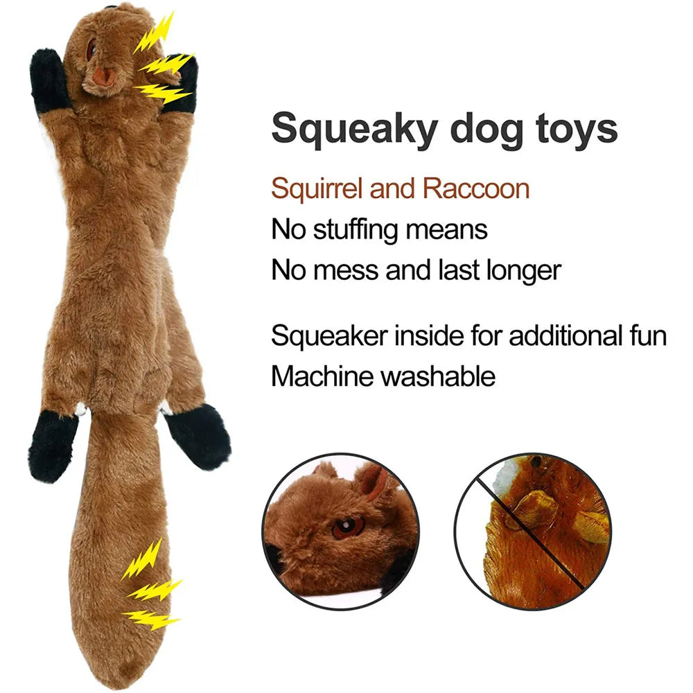 Pet Squeak Toy
