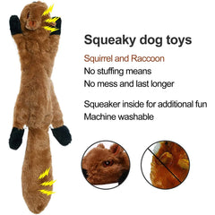 Pet Squeak Toy