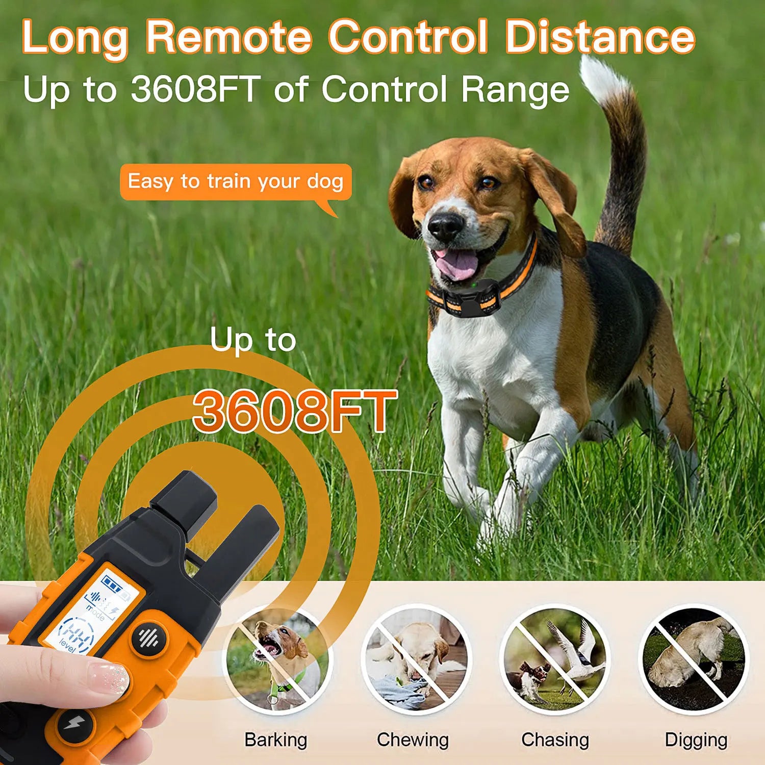Pet Training Collar with Remote