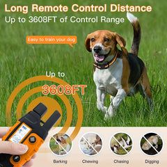 Pet Training Collar with Remote