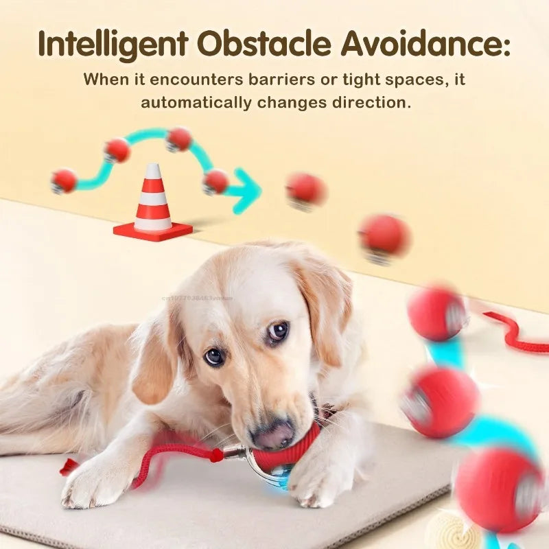 Cat Interactive Ball