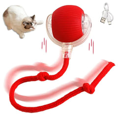 Interactive Cat Toys Ball