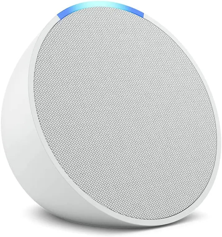 Portable  Smart Speaker